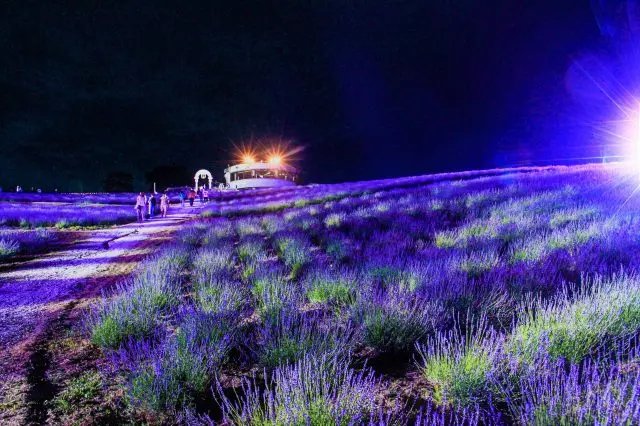 🌸 일출 공원(히노데 코엔) 이미지 10